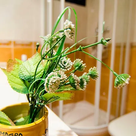 Apartamento Las Azaleas *